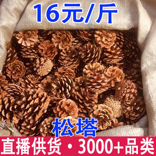 ����  ���� �ɹ� ������� ��Ƥ�ɹ� ���ɹ����l���l