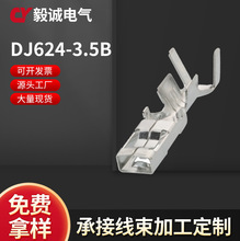 厂家供应DJ624-3.5B,624-3.5型黄铜镀锡 车用插头连接器接线端子