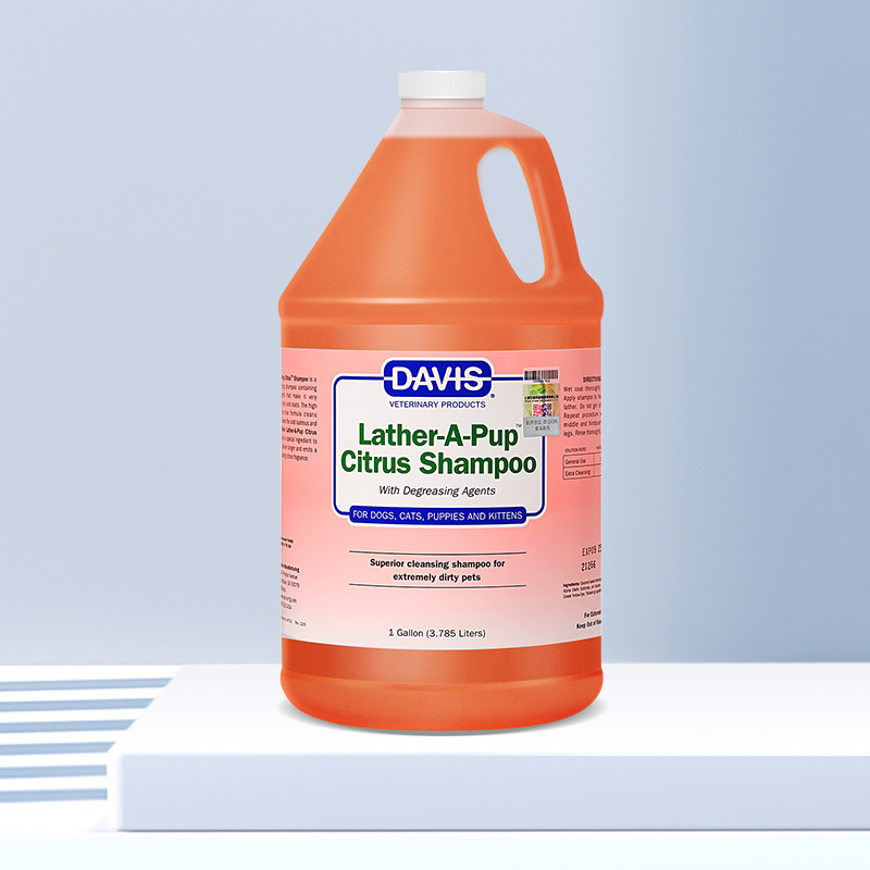 거품 감귤 shampoo-3.785L (탈지 청소)