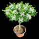 other product image