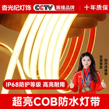 24V/220V户外防水灯带COB水下IP68灌胶无光斑柔性线性灯硅胶泳池