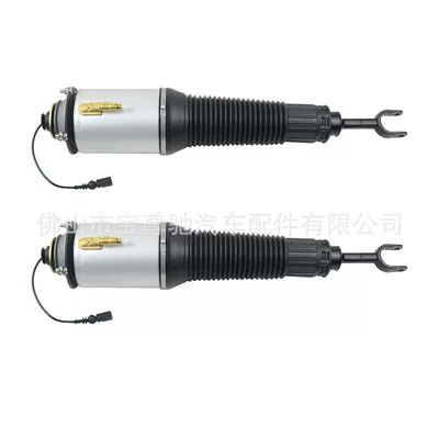 A8 suspension front air – damping system