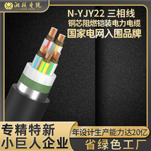 湘联国标电力电缆N-YJV22纯铜2/3芯铠装工程线25/50/70平方地埋