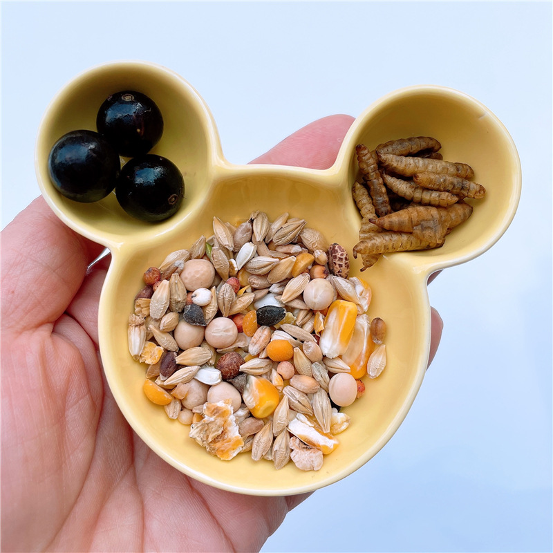 米奇瓷碗 (8).jpg