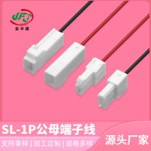 SL-1Pi۹ĸӾLBӾ 3.96gЌӾtӾ