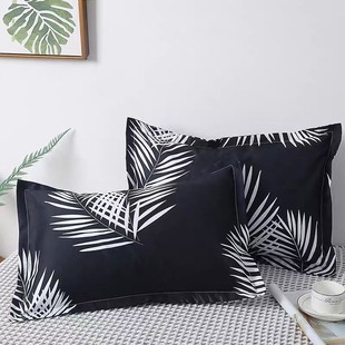 Pillow Set Single Pillow Core Pair Adult Cervical Pillow Core with Pillowcase Student Dormitory Cute Pillowcase
