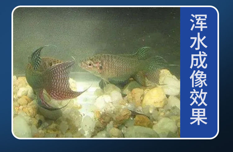 微信图片_20230517152018