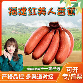 福建红美人香蕉 代发3/5斤时令红皮香蕉新鲜水果非苹果蕉