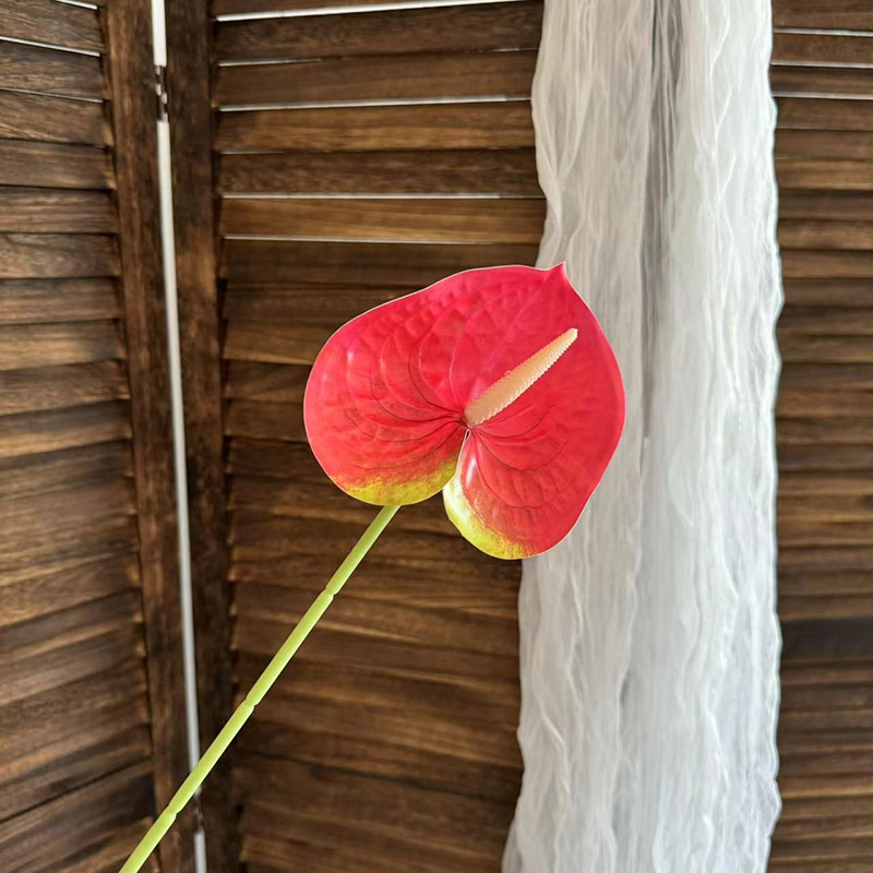 3D 플라밍고 팜-레드 7#