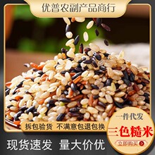 三色糙米新米五谷杂粮红米黑米糙 米糊粗粮健身胚芽1斤原料批发