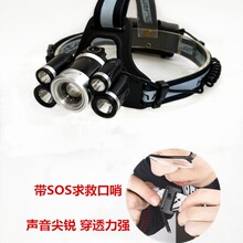 �羳��Ʒ�X�Ͻ������^�� ���⑪��5��SOS��ȿ����^��