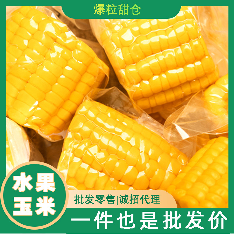 Guangxi Origin Fresh Fruit Sweet Corn Juicy Bursting Juice Freshly Picked Freshly Made Vacuum Fresh Package Shipping Included