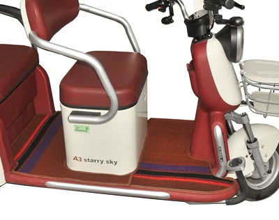 Electric vehicle foot mat – foot mats - chenice-wine-red-front-back