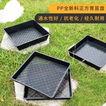 �G���Nֲ�������P�ײݷNֲ�P�����P����P���绨���бP��ͥ��ˮ�P