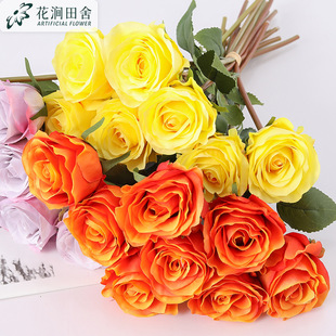 ���滨 ѩɽõ�� �Wʽ�Ҿ��b�c�����zӰ���߰����ٻ�õ�����l