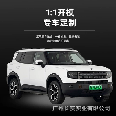 Automobile anti-insect net | accessories