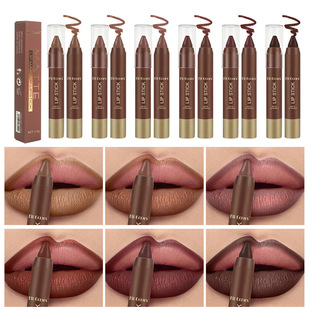Fit Colors 6-Color Matte Chocolate Lipstick Soft Mist Not Easy to Stick to Cup Lip Liner Lipstick European and American Brown Cross-Border