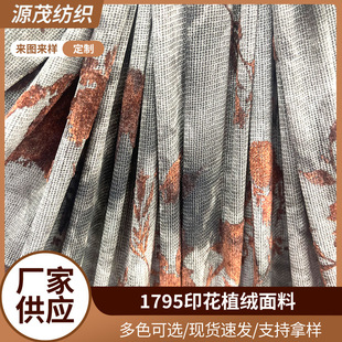 1795ӡ��ֲ�q���ϸߏ����켏���e������\���b��]ᘿ����b�W�۲�