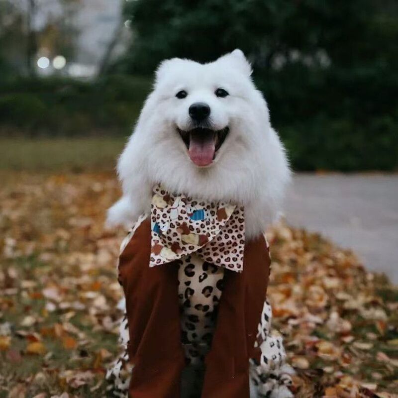 ペット服犬汚れ防止ズボン屋外防塵汚れ防止ズボン長毛大型犬辺牧サモエ外出四脚|undefined