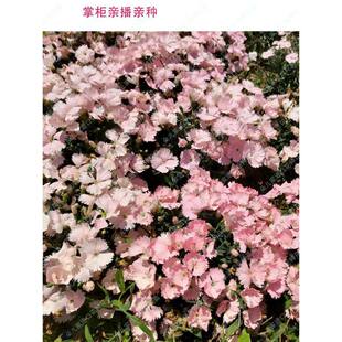 ʯ����˼÷���N�ذ�ʯ�����ʯ��С��ʯ����Ůʯ�񣨶䃺�ң�