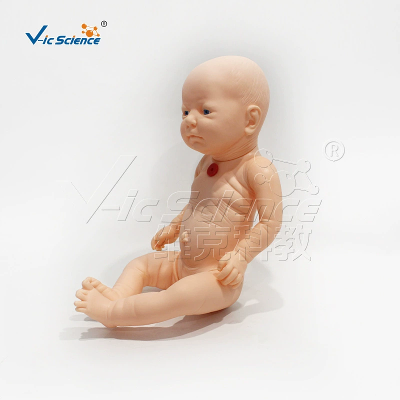 Старшая медицинская модель ухода за младенцем VIC409