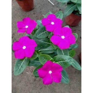 �͸ߜر��������_���մ��L�������������~÷�����҃����ļ��_