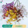 3 fork dancing orchid 3d print Wenxin Lan high -end feel home decoration silk flower art wholesale simulation flower