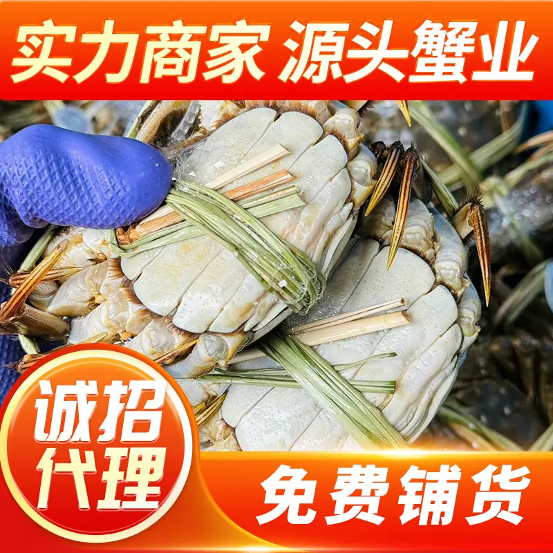 现货特大苏州精品大闸蟹鲜活螃蟹 套餐礼盒 批发集采 量大价优