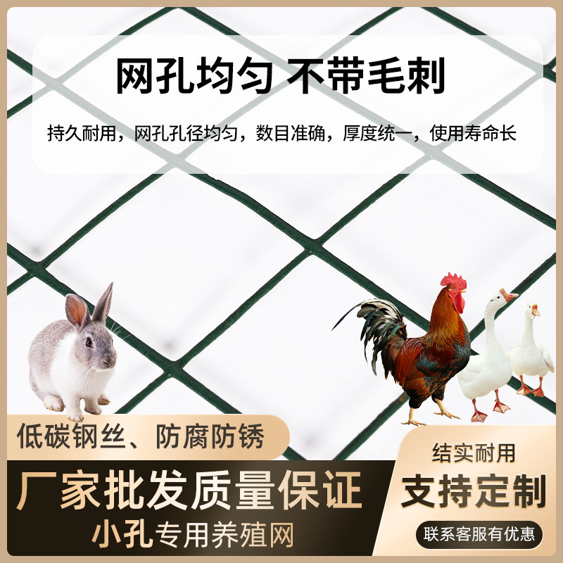 定制小孔围栏鸡鸭养殖网防蛇鼠荷兰网加厚铁丝隔离网子果园种植网