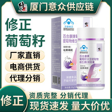 �����ѾSeܛ�z���ϰ����ƾS����E�ȷ�Ƭ ����z��