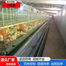 小鸡雏鸡加密养殖简单鸡笼   防夹防跑小鸡笼畜牧农用养殖雏鸡笼