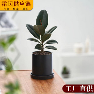 �ڽ�����Ƥ�䱱�W�Gֲ�������Կ՚��҃�����ֲ���ȩ���B�k����