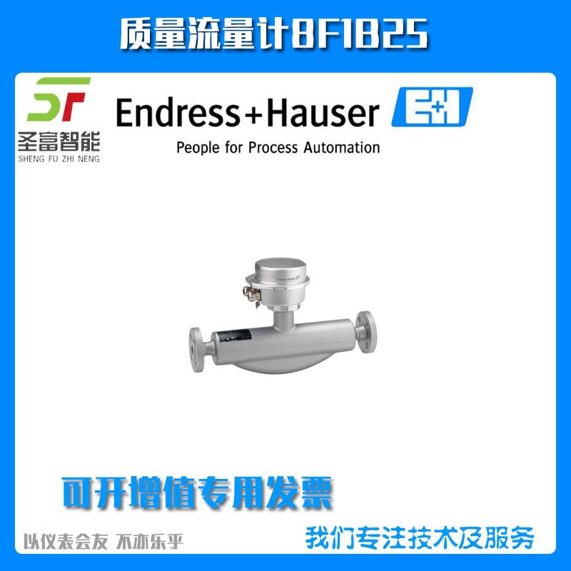 质量流量计8F1B25-AADRBBNSAFTSA