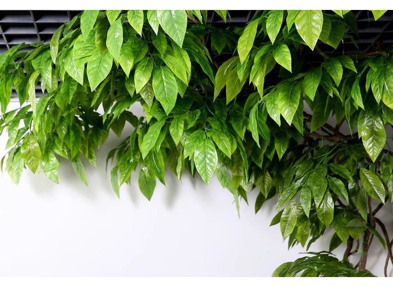 TB2.4ArblfM8KJjSZFrXXXSdXXa_!!