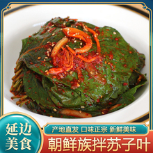 咸菜朝鲜风味下饭菜咸菜韩国香辣拌苏子叶泡菜腌制新鲜500g包邮