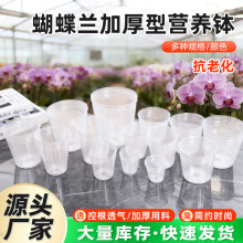 �����m���Ӻ���͸���I�B�����������籭��ˮ͸��͸��һ���Ի���