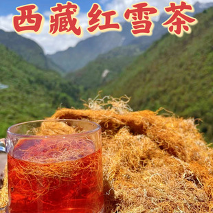 ����ֱ�l����Ұ���tѩ�辫�x�o���z�tѩ��¹�ļtѩ��Ѫ���B����