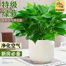 �ؼ�����G�}��荾Gֲ���҃����·��͏d���ܾGֲ�������׻�ȩ���l