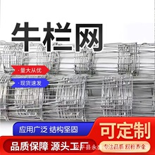 养殖牛栏网 草原围网 牧场隔离网 防锈铁丝围栏网