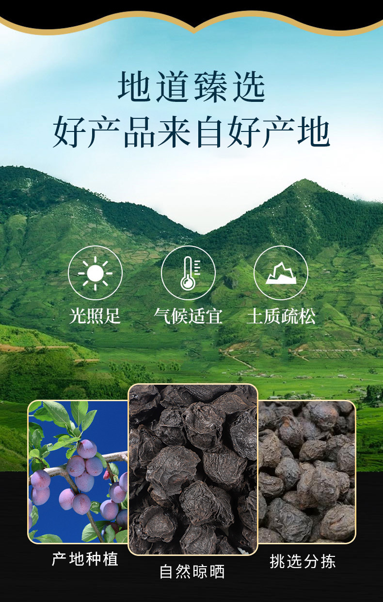 Wu Mei (Prunus mume) Dried Smoked Plum — Food-Herb for Sour Plum Drink & Herbal Tea overview