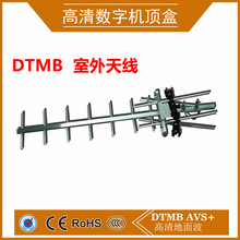 �߆�Ԫ��ľ�쾀   DTMB�쾀