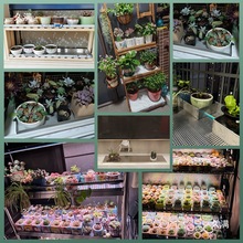 ��ˮ�P��������L���λ��P�Ӻ��ش����҃Ȳ��P��бP�L�l�̨�yɫ