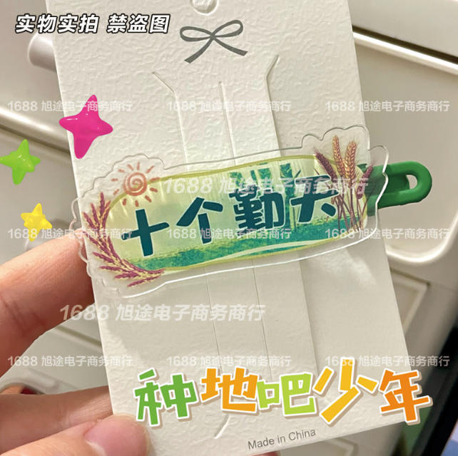 Acrylic fashionable hairgrip