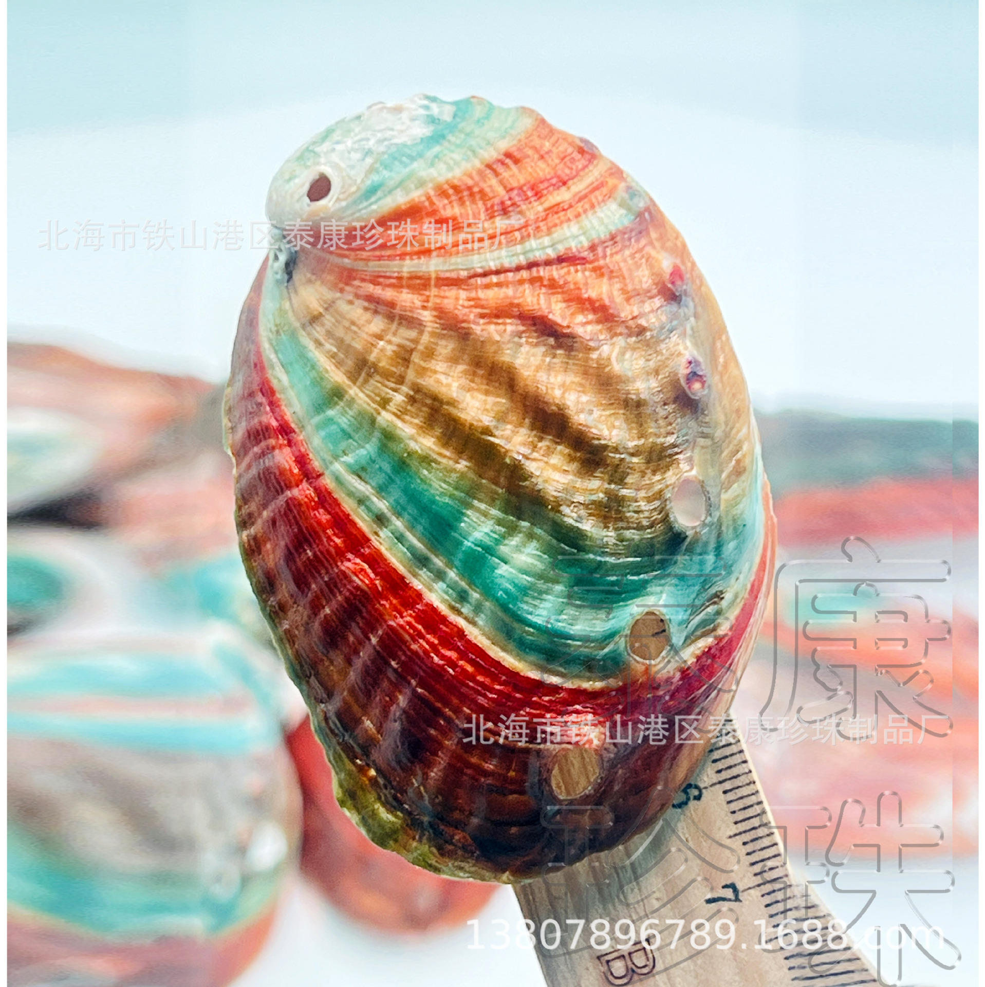 ����������ɫminiС�����ˮ������쾰��ѡ���ݱ��ǹ�������ڼ�