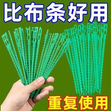 园林万能扎带鱼骨定型大号爬藤牵引捆绑带固定扣黄瓜绑扎园搭架子