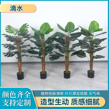 ��ˮ����Gֲ �Ҿӻ�c�쾰�b� �҃ȼҾ��������ֲ���쾰�b�