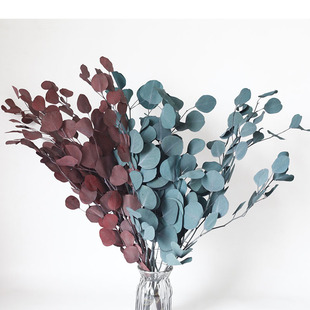 Everlasting Apple Leaves, Round Leaves, Eucalyptus Leaves, Eucalyptus Leaves for Home Flower Arrangements, DIY Material Package, Supporting Materials, Everlasting Flowers