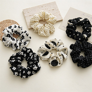 ¿ѩccˇclȦŮ^lKٴƤBSֱN