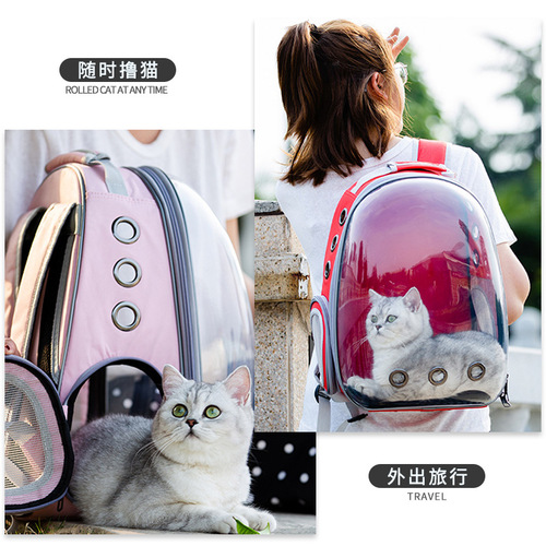 New Cat Backpack Pet Bag Large Capacity Breathable Transparent Shell Pet Dual Shoulder Portable Bag Solid Color Cat Bag Dog Backpack
