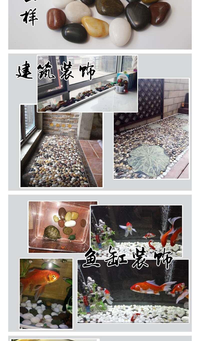 9b966e0c-d023-472f-83b9-d153f5dd9148.jpe